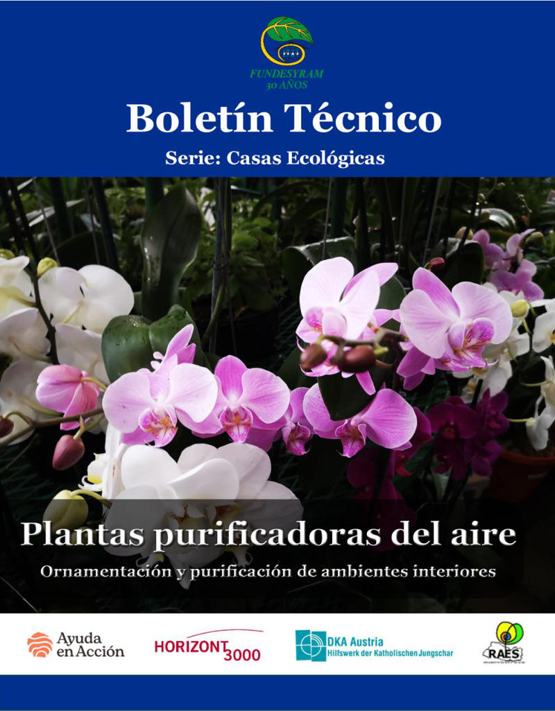 Portada de PLANTAS PURIFICADORAS