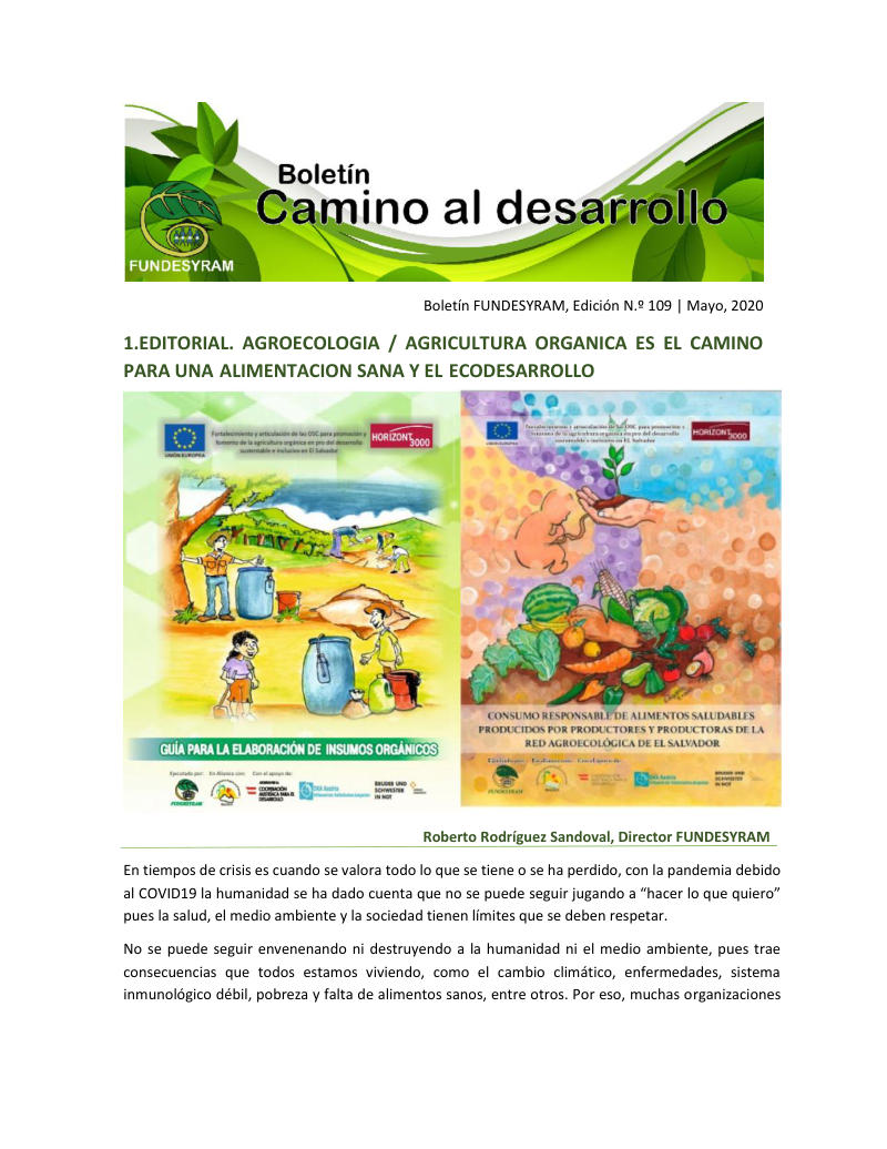 Portada de Producción de alimentos orgánicos y consumo sano de alimentos, mayo 2020