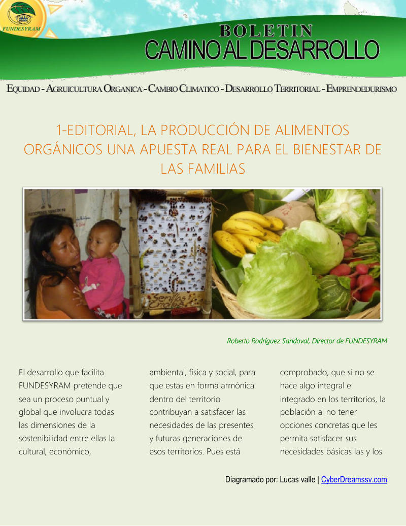 Portada de Producción de hortalizas orgánicas, mayo 2013