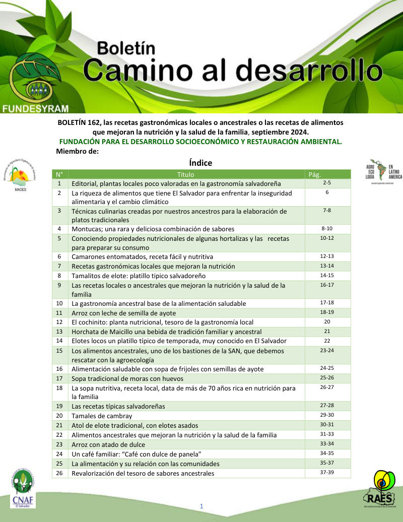 Portada de Recetas gastronómicas locales o ancestrales, septiembre 2024