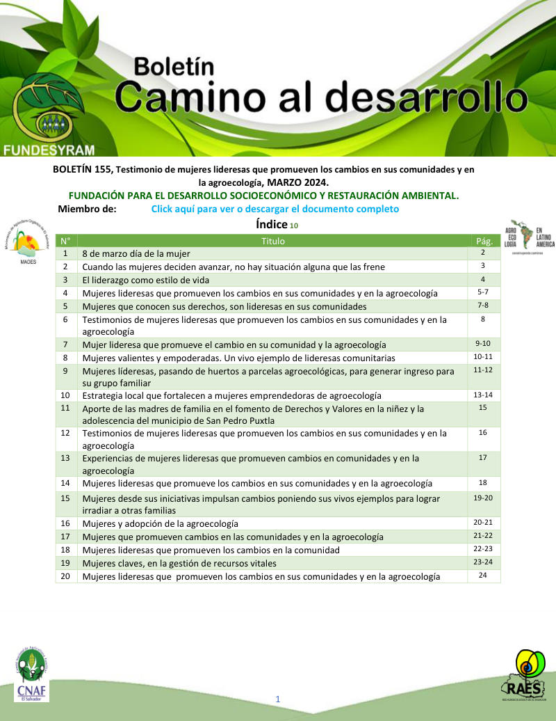 Portada de Testimonios de mujeres, marzo 2024