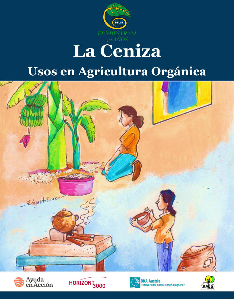 Portada de Uso de la Ceniza ultima versión