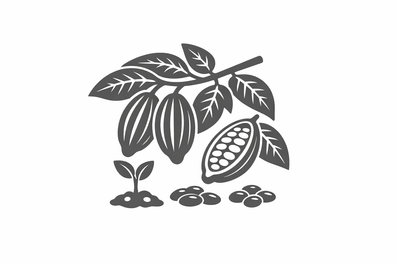 Portada de Provisión de Plantas de cacao, frutales y forestales